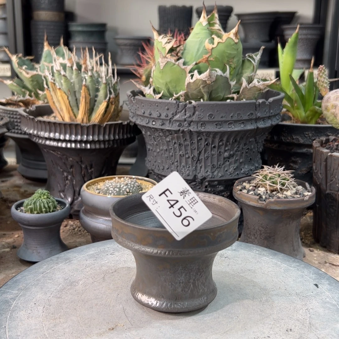 景德镇手工素里内口9.5高7.5