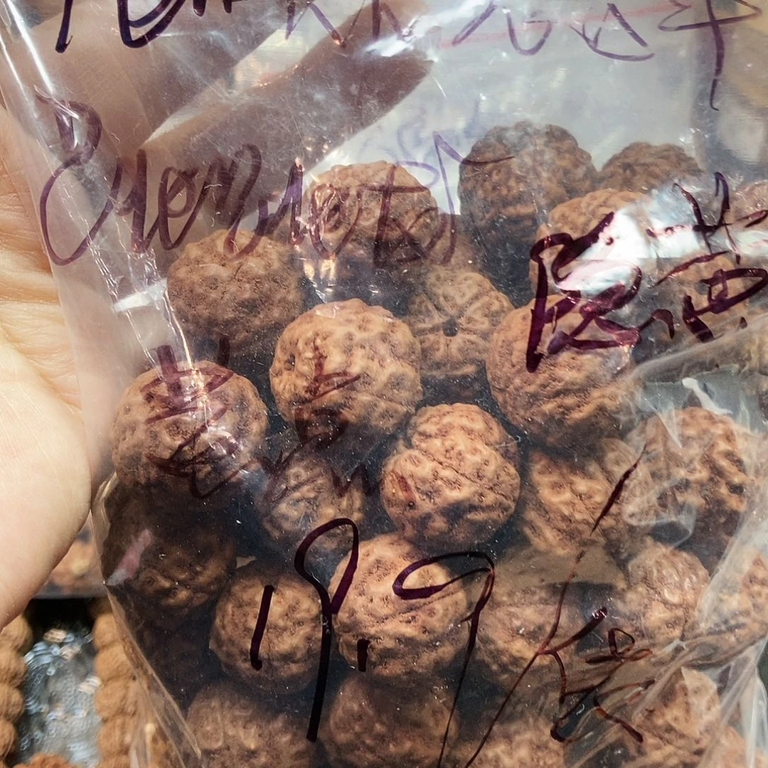 金刚菩提吊坠创*不挑福利散籽