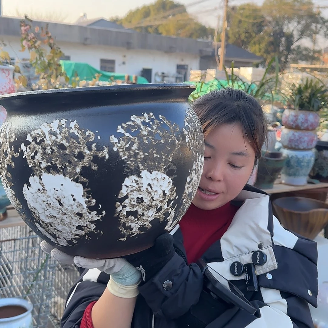 王嫂花盆1228-131高28口30