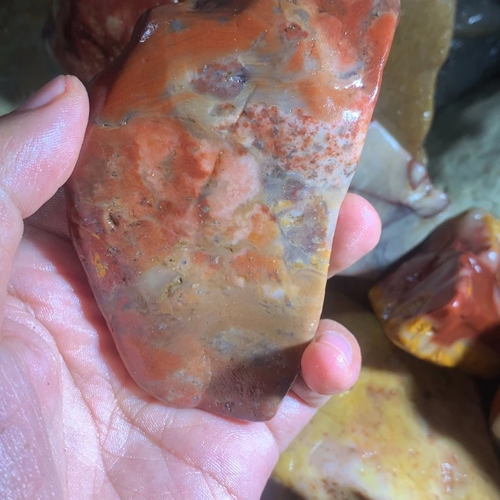 石***家寿山石888888888888