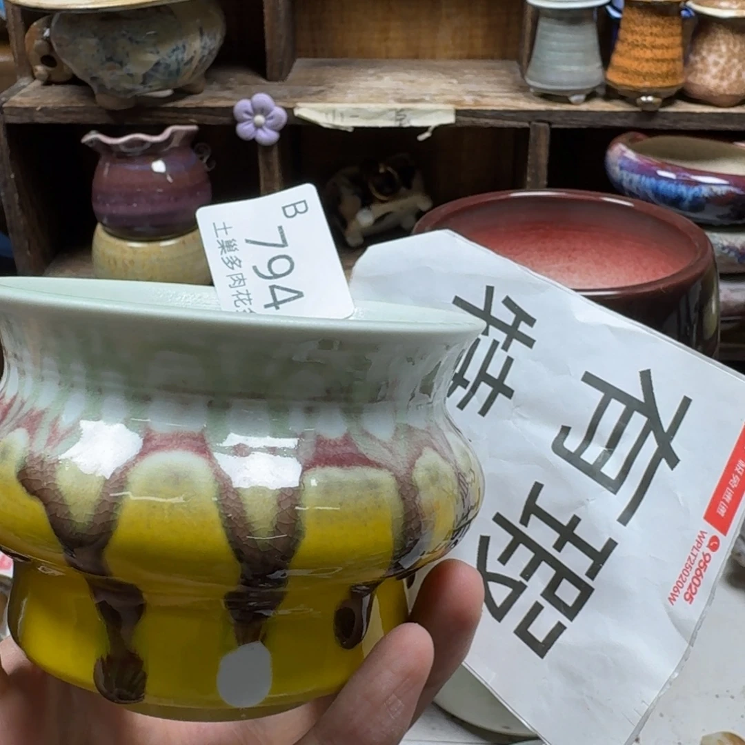 一***牛陶瓷艺术设计学与制作
