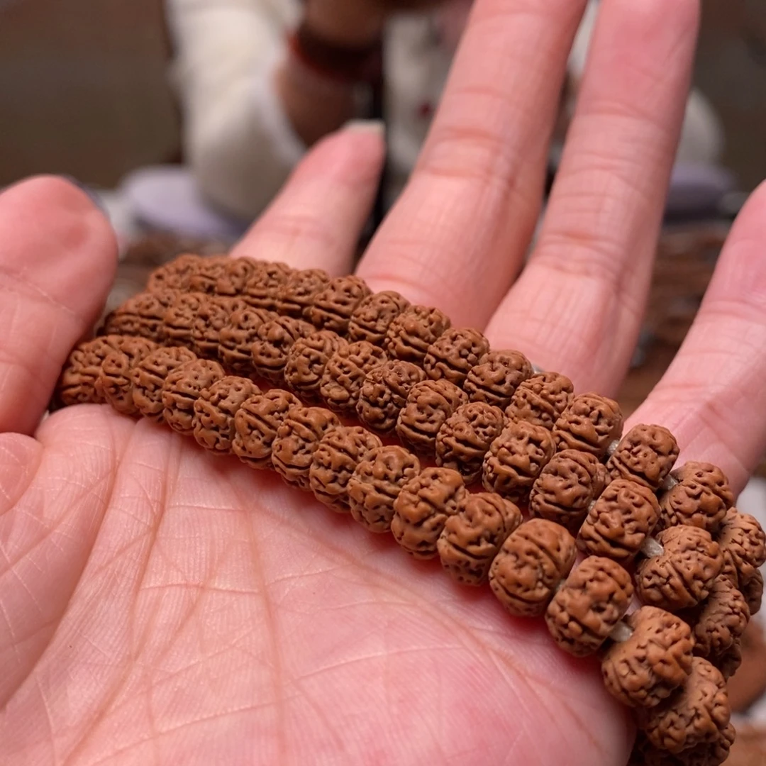 深***馆菩提籽类藏切树王