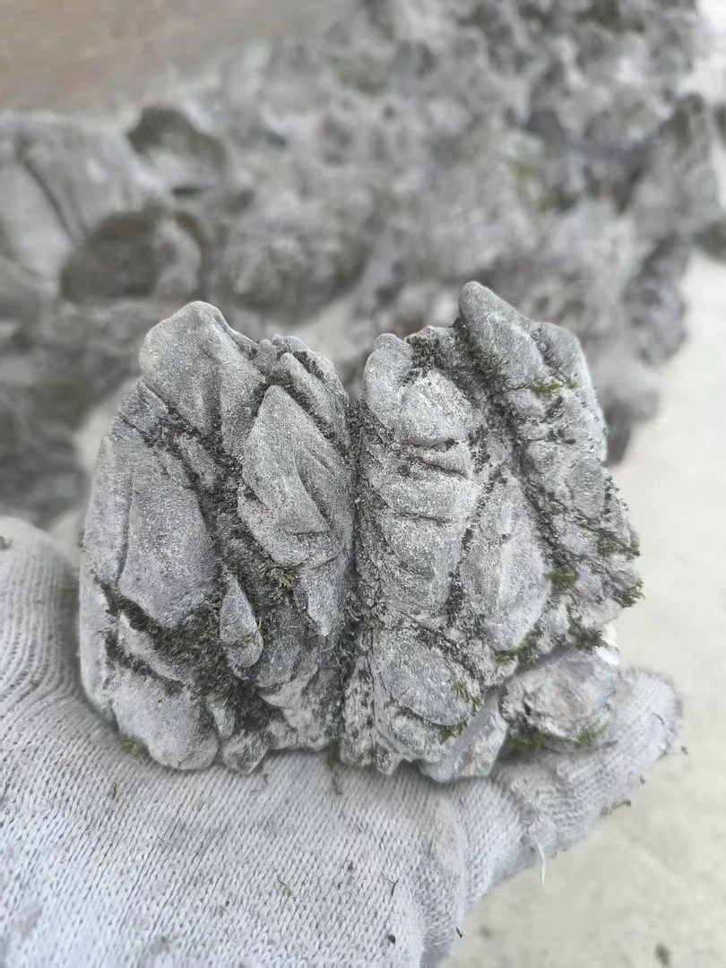 广西龟纹石盆景绿化