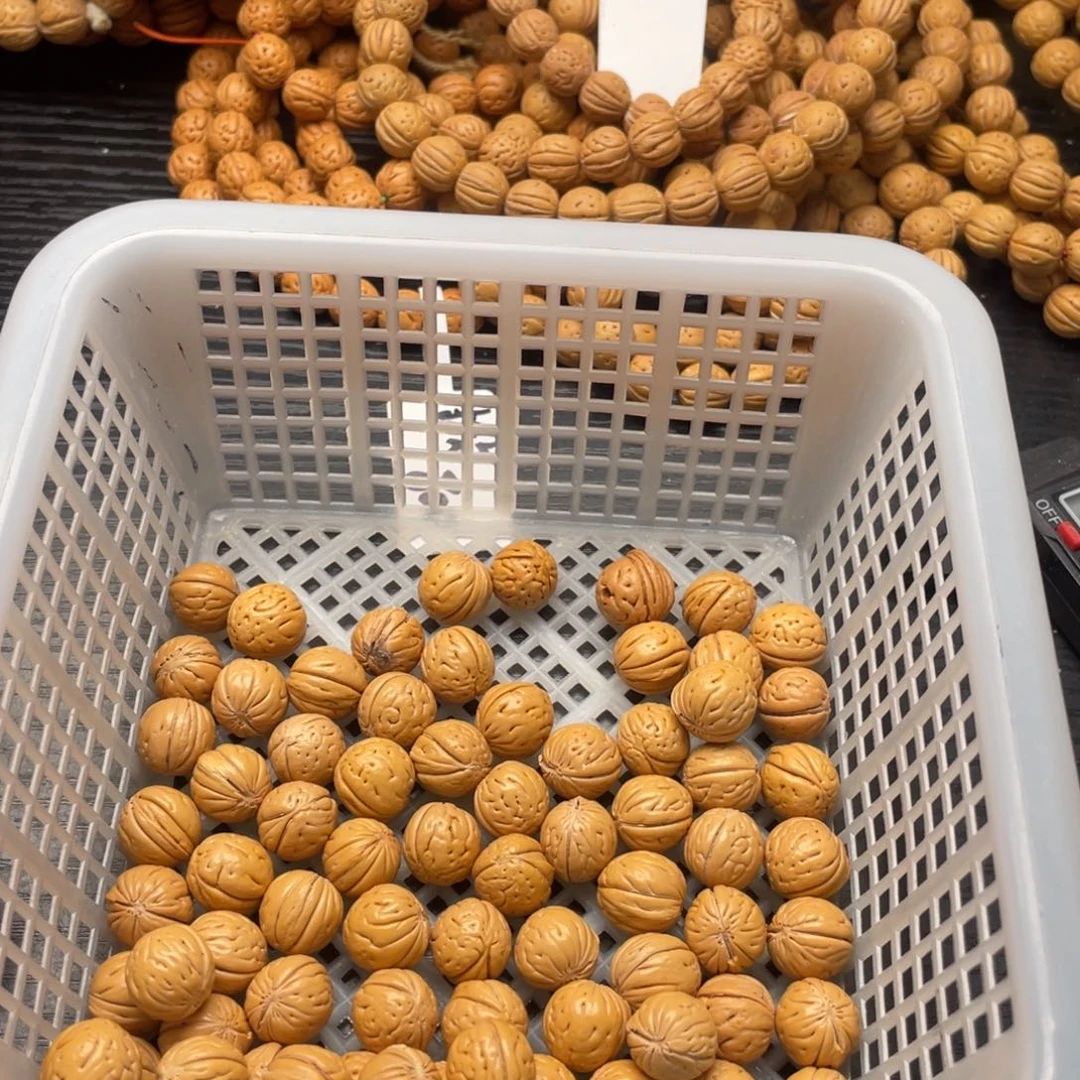 【闪购商品】火*散子发货60米