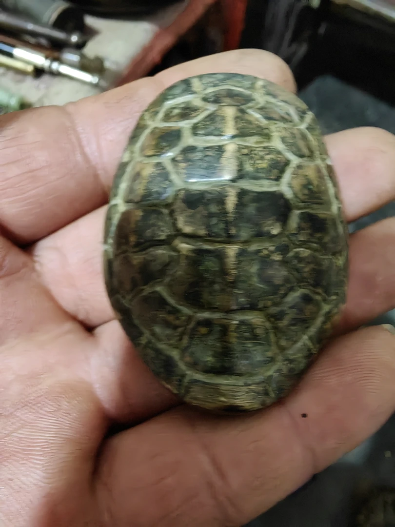 汽汽车汽车汽车装饰完整漂亮漂亮