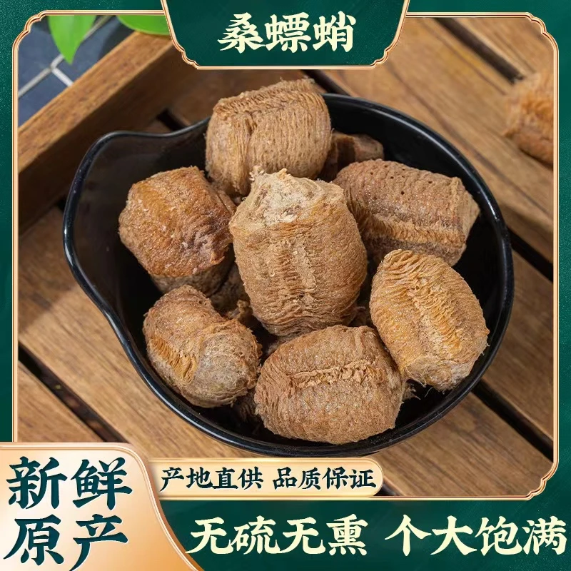 桑螵蛸桑膘销桑膘硝桑飘蛸野生螳螂子螳螂卵鞘巢刀螂子无硫泡水茶