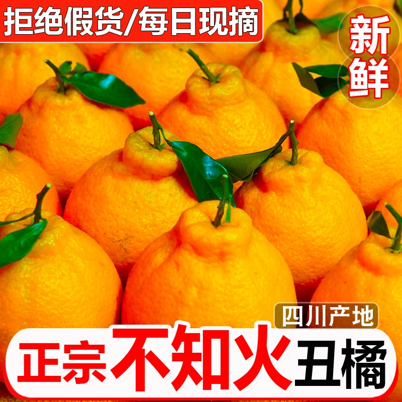 正宗四川丑橘不知火桔子当季新鲜水果整箱丑柑产地直发