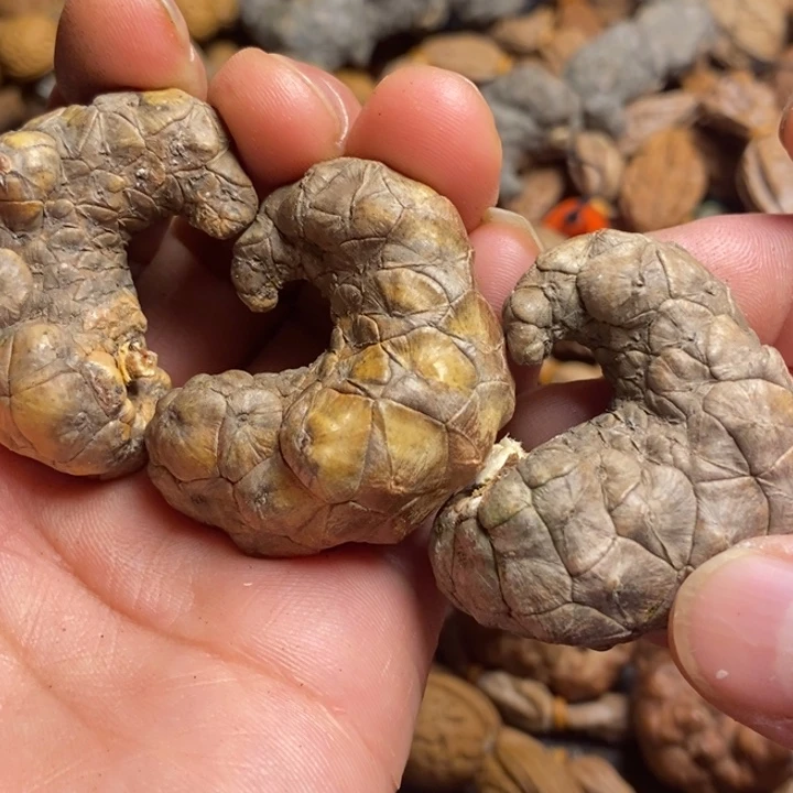 吊坠桃核东北特产86