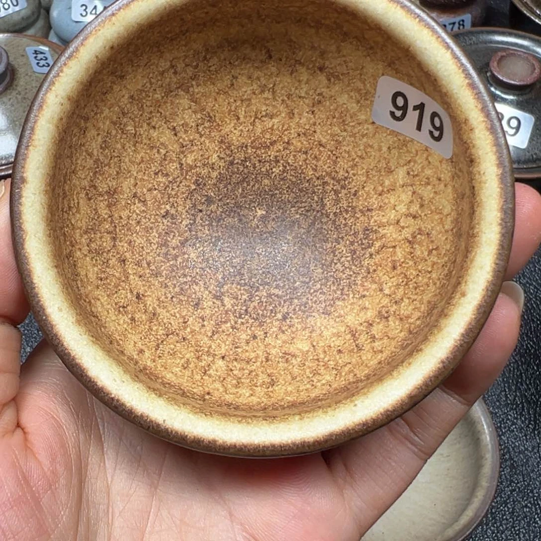 茶盏兴**剧焦源龙窑，不忘初心919(下播利福谢谢哥哥)