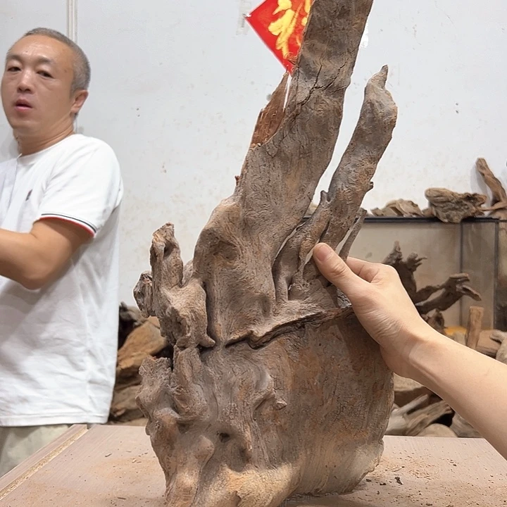 柏木心**错我们的生活是以自己为中心而生活