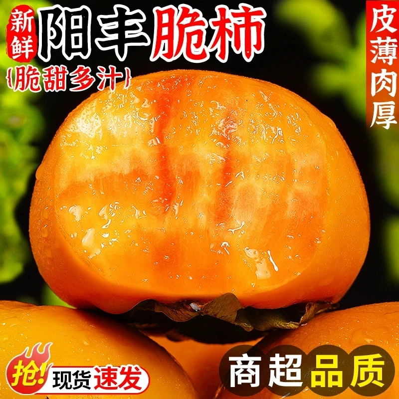 【冰糖心巧克力脆柿】当季新鲜水果5斤整箱时令红大甜硬柿子