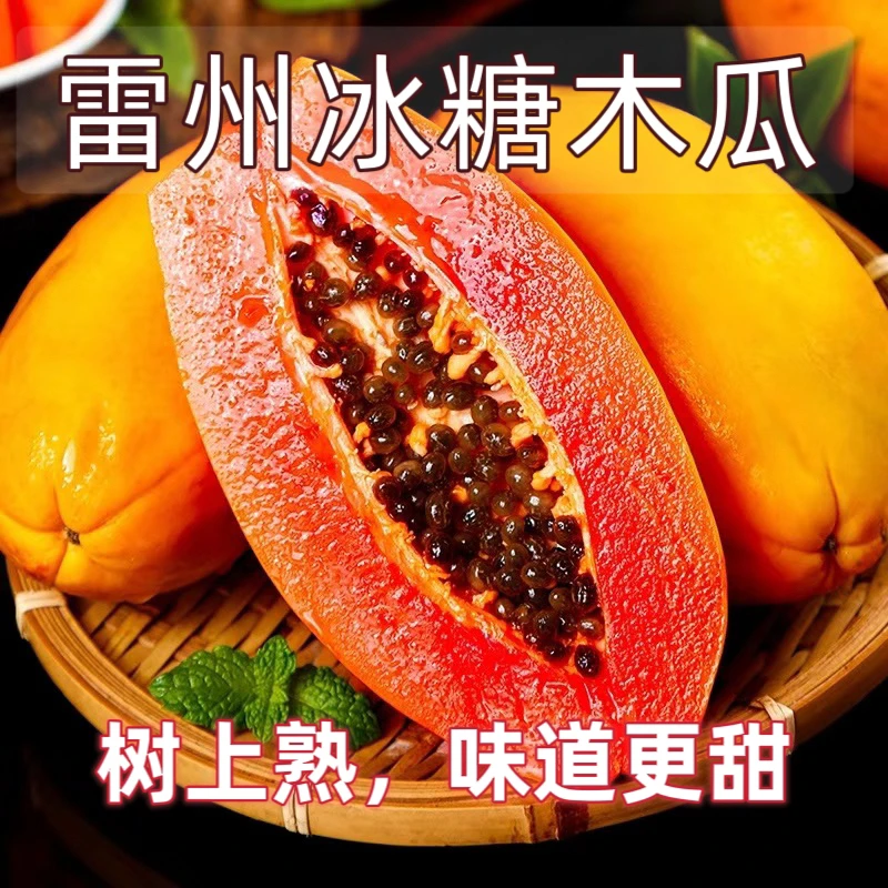 【树上熟冰糖红心木瓜】雷州多汁红心牛奶木瓜水果香甜皮薄爆汁现摘