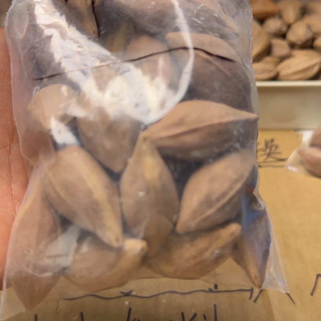 【闪购商品】橄榄核手串/手链┾*111111111