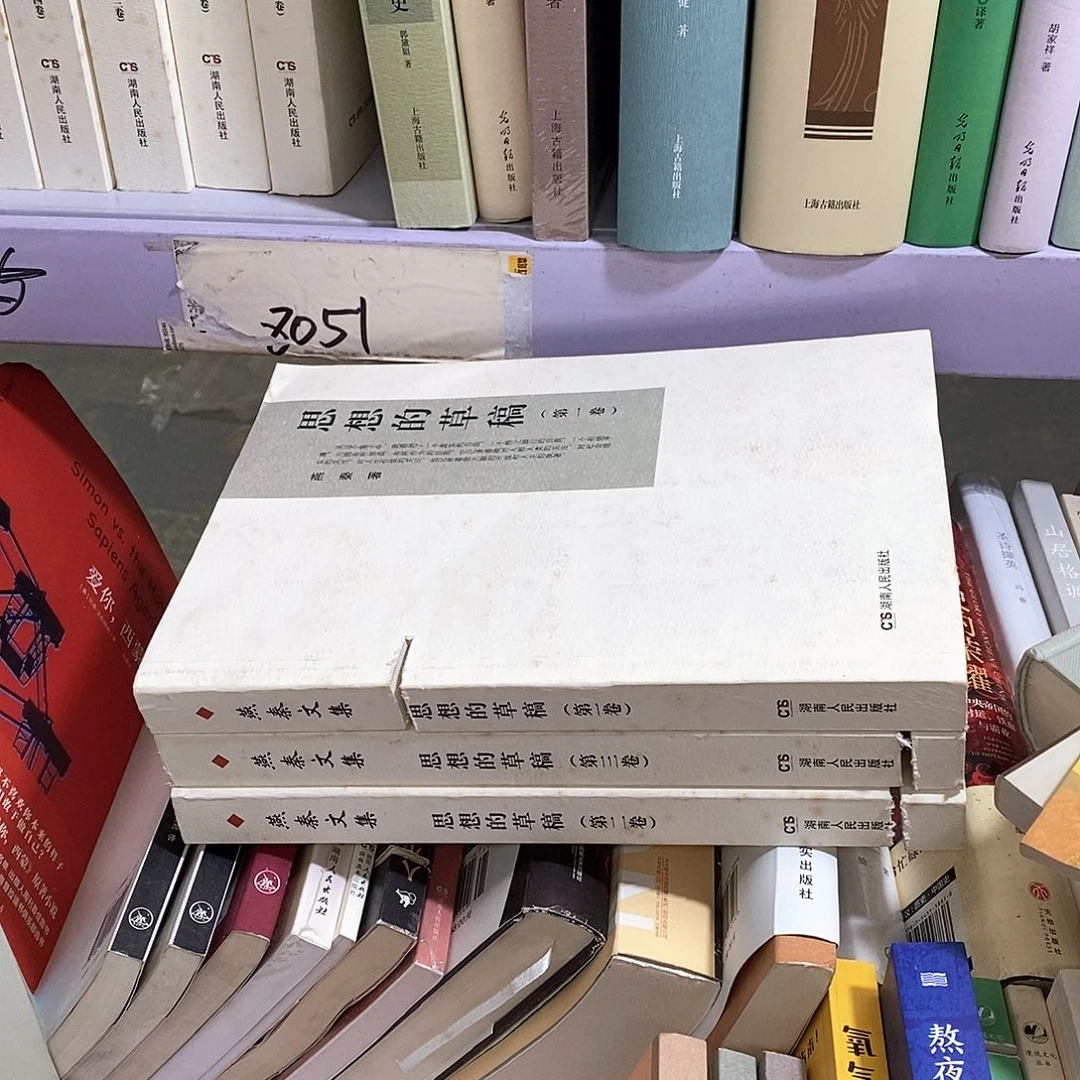 瑕疵锯口   思想的 草稿全三卷
