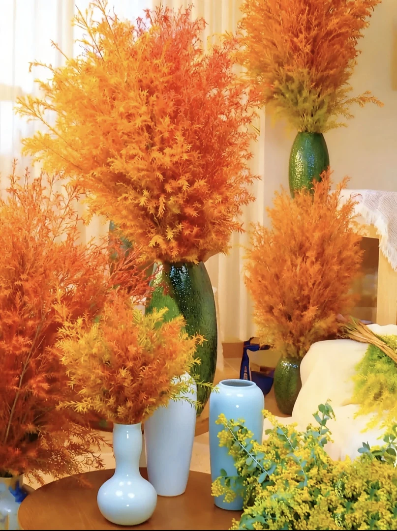 高品质千层金香柳鲜切花室内水培干插适用