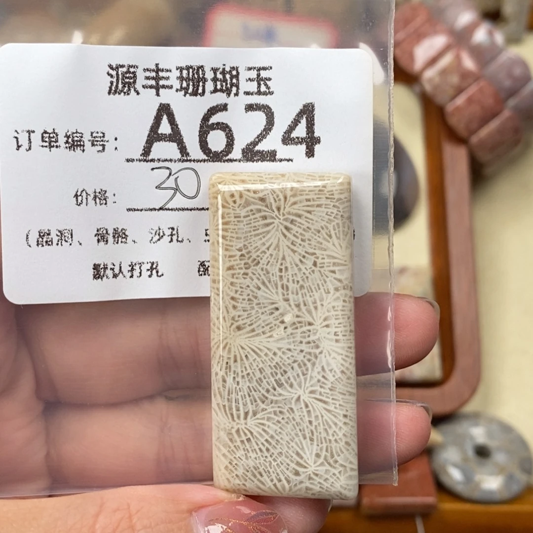 T***y硅化玉未镶嵌颈饰