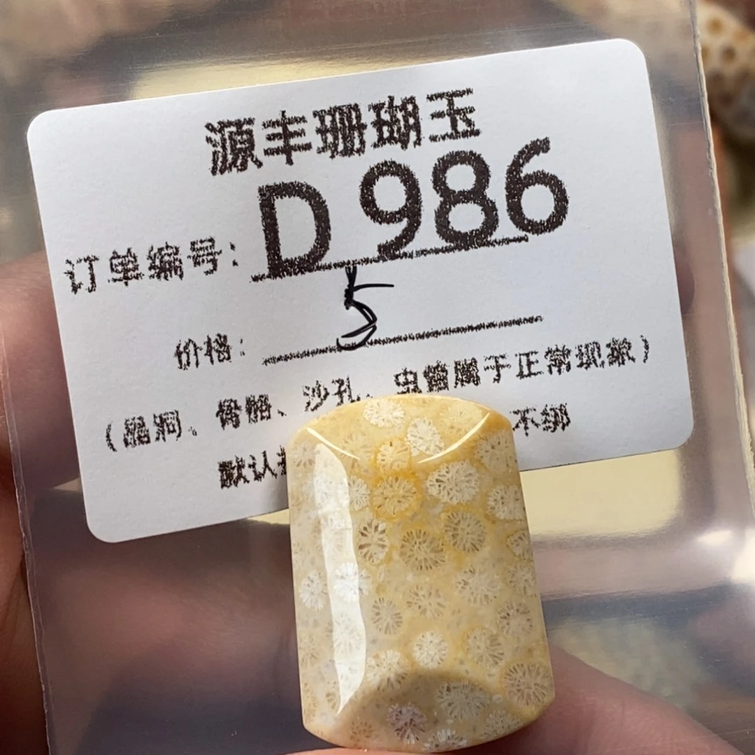 肖***削硅化玉未镶嵌颈饰