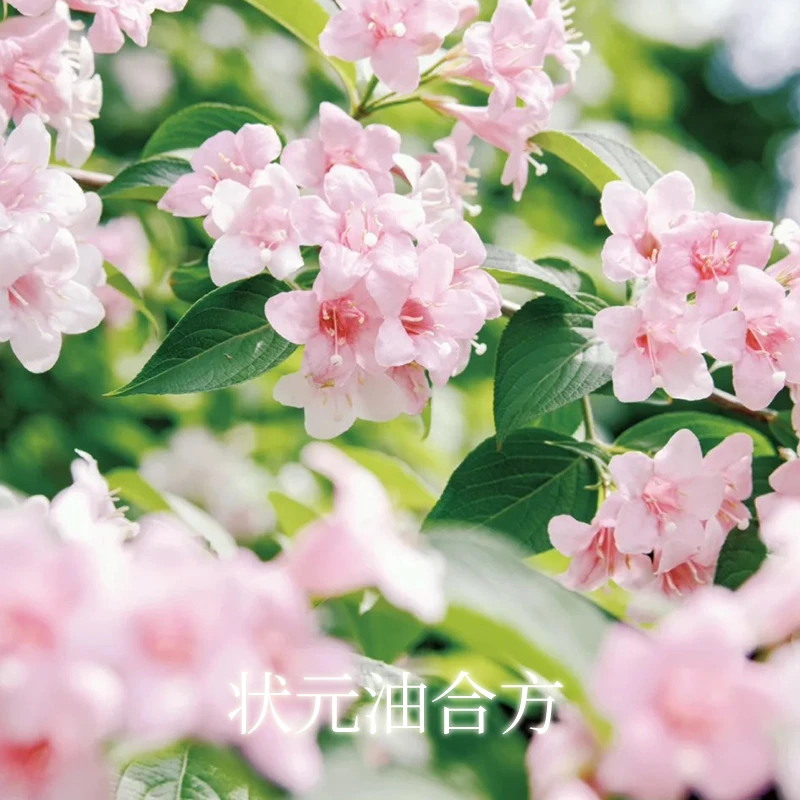 5ml【状元油】合方精油