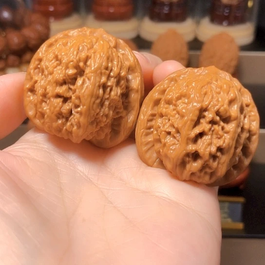 野生小众#蚂蚁沟