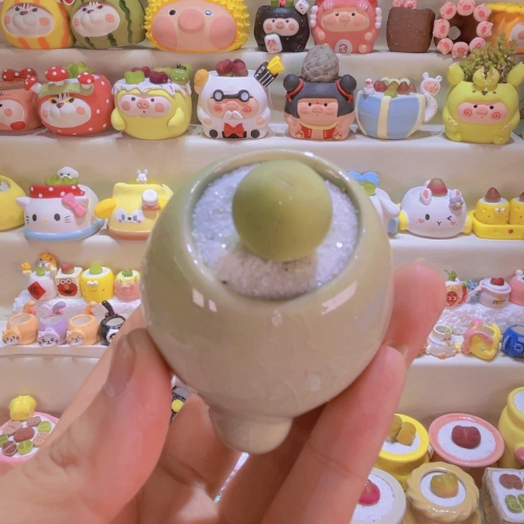 31鸽子蛋连盆带土包邮