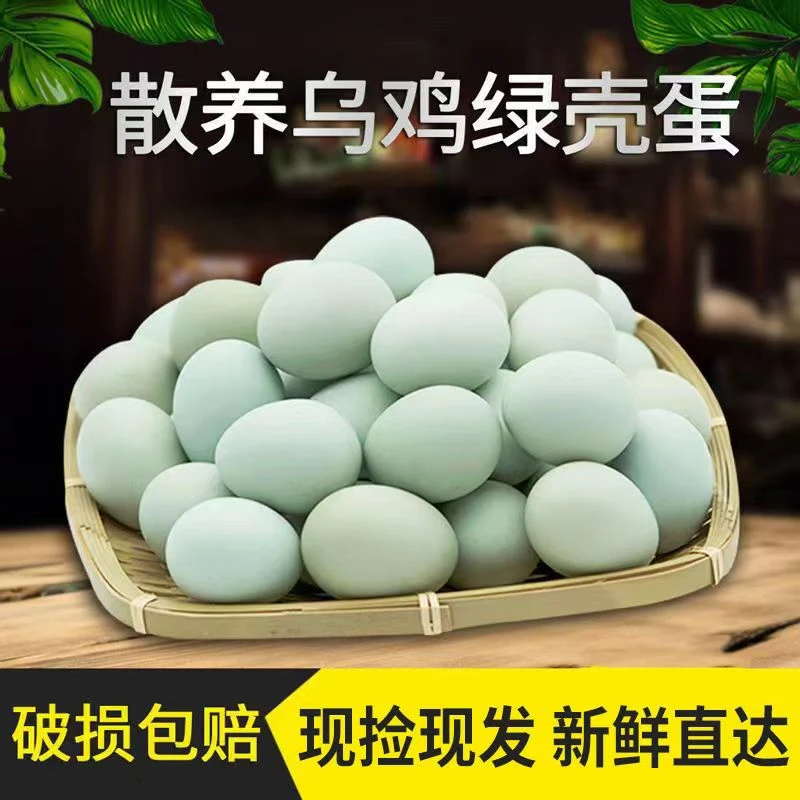 【到手50枚】乌鸡蛋农家正宗散养绿壳土鸡蛋现捡现发F