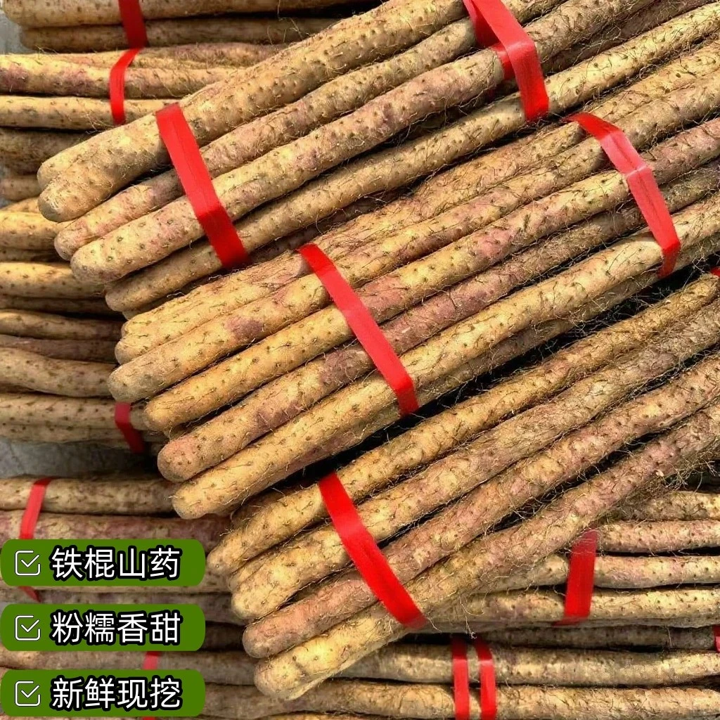 【5斤太便宜】正宗铁棍山药软糯香甜新鲜营养好淮怀山药宝宝辅食