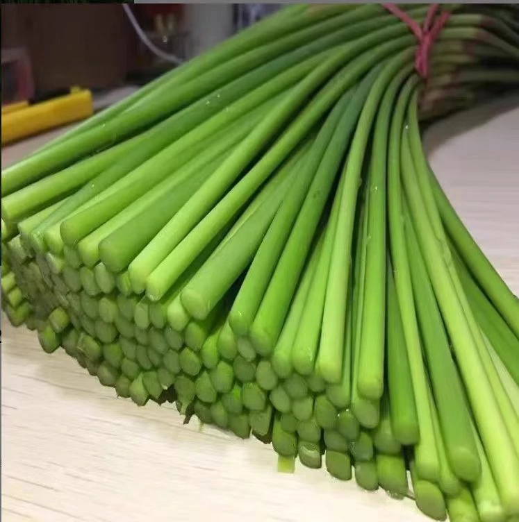 【现摘蒜苔】现摘新鲜多汁红帽蒜苔脆辣微甜