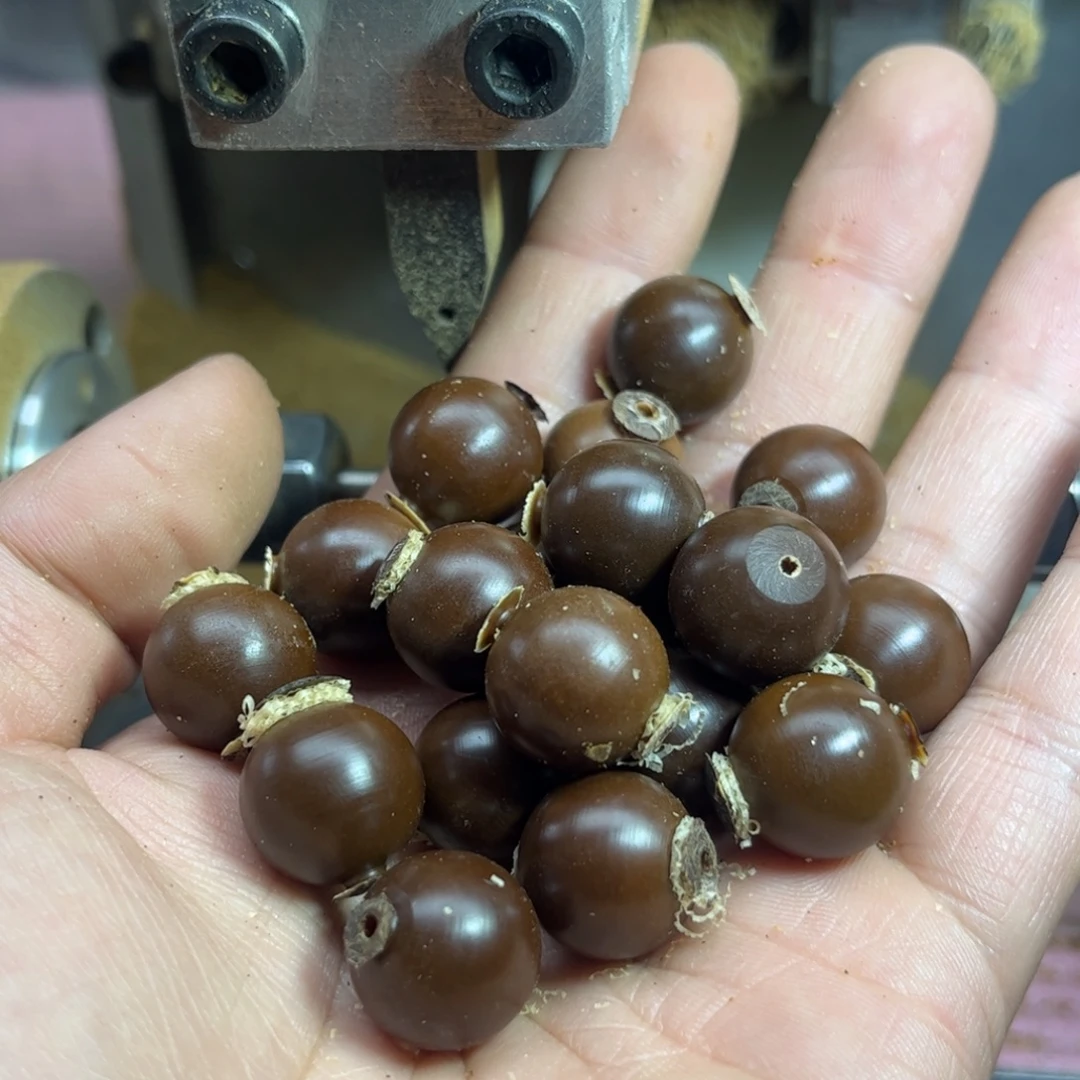 手串菩提根/象牙果