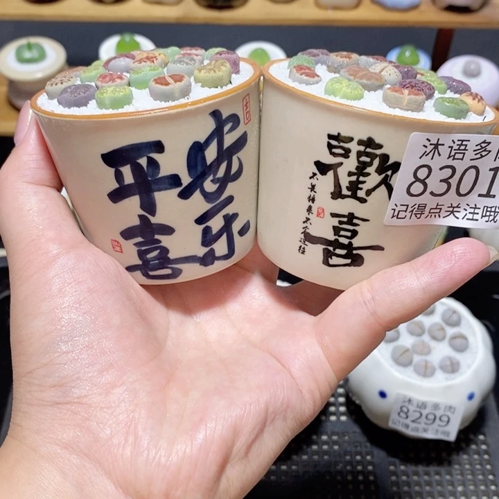 带盆土植物 精美盆栽8301