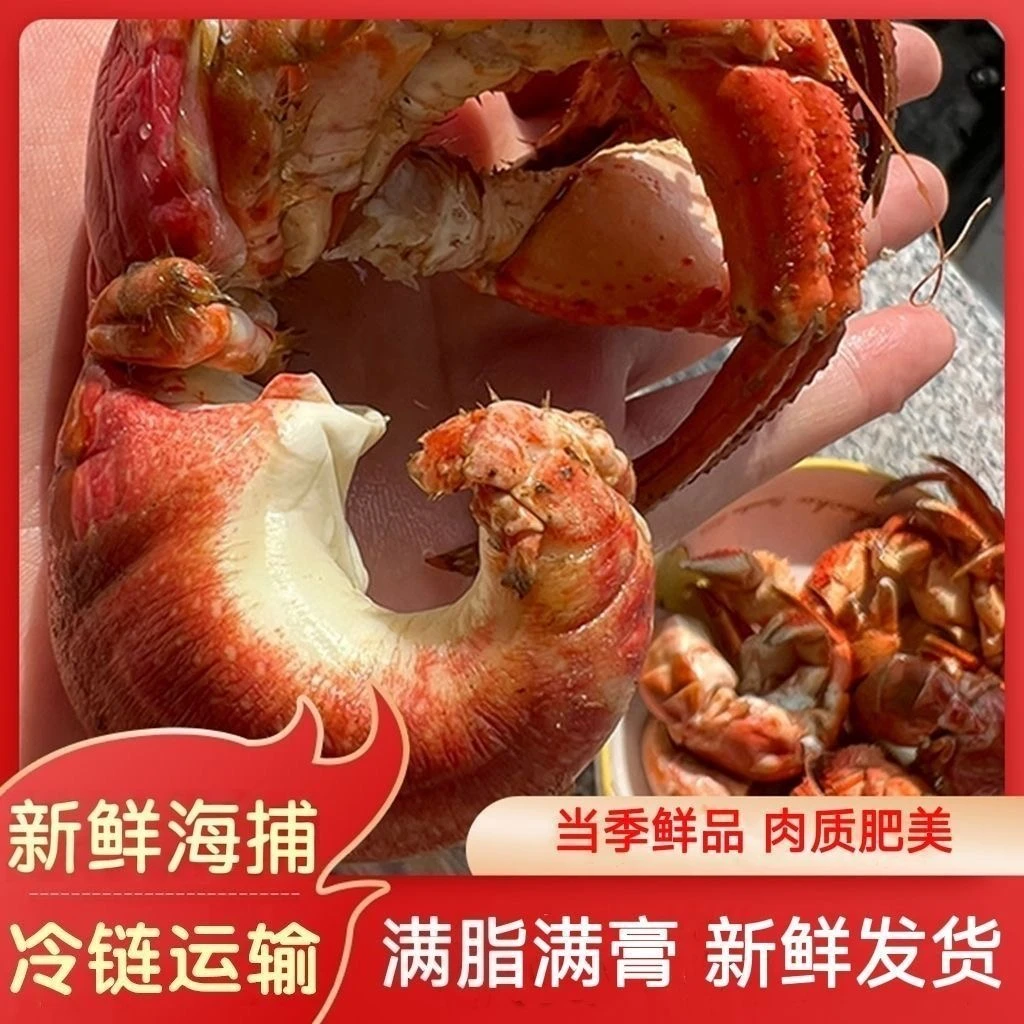 大连特产虾怪/寄居蟹带壳发全国包邮