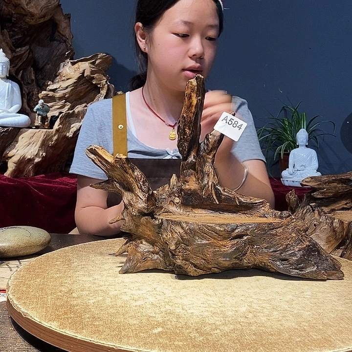 简584株木随行的小根艺