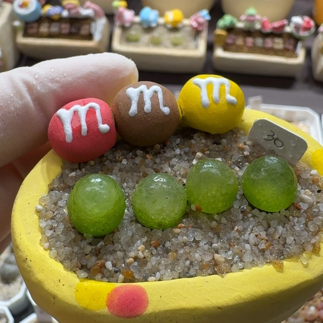 0922-007连盆带花灯泡