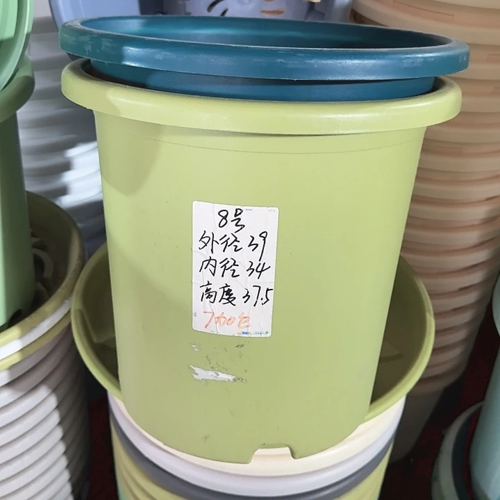 微瑕8#果绿3个无托