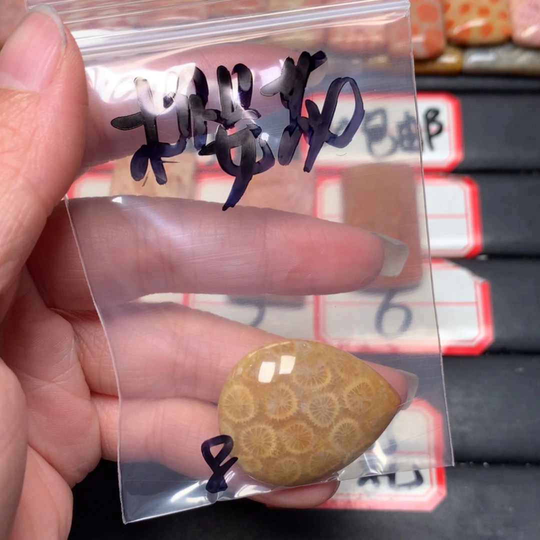 【闪购商品】未镶嵌颈饰硅化玉?***?