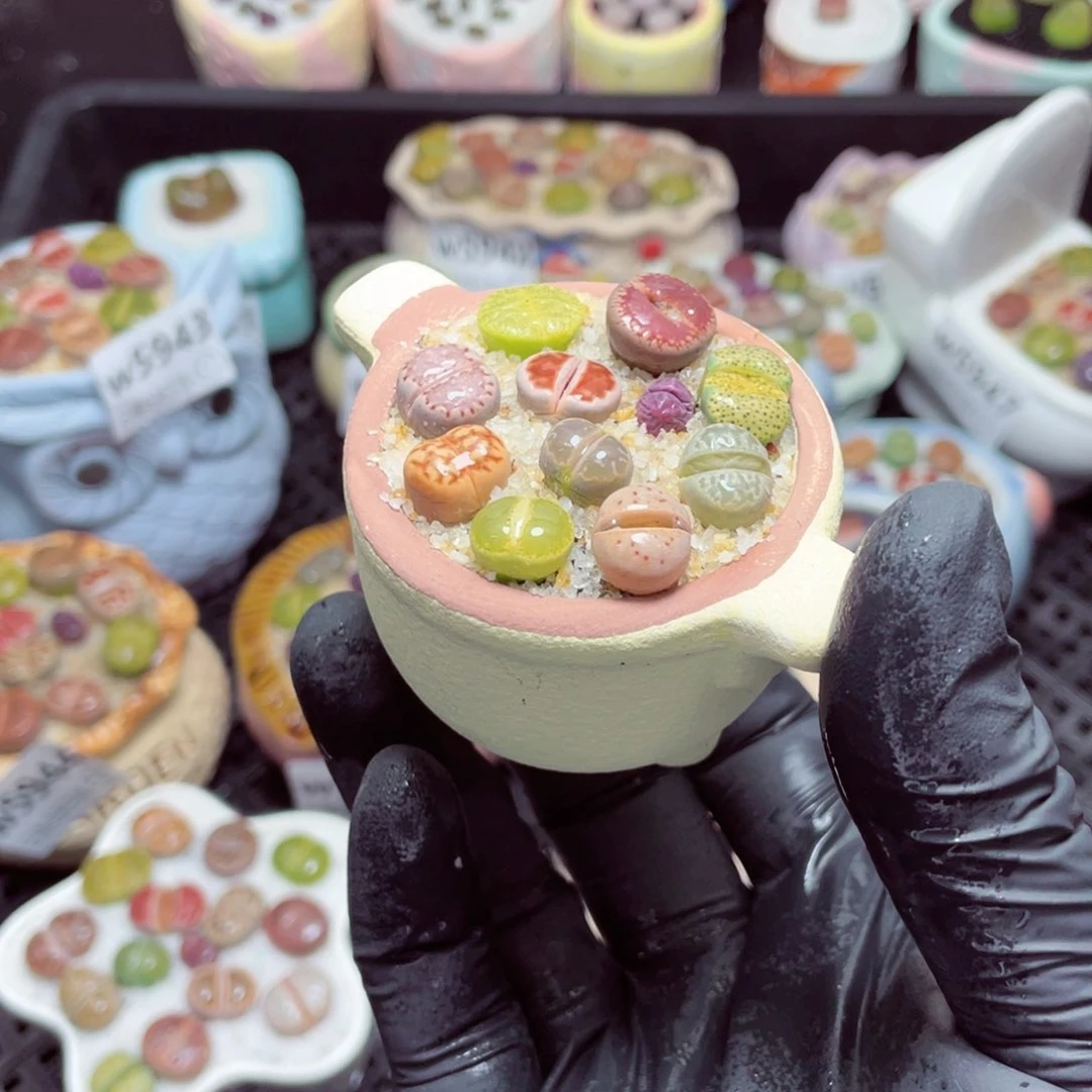 w5954--带盆土发货，零下地区拍保温箱