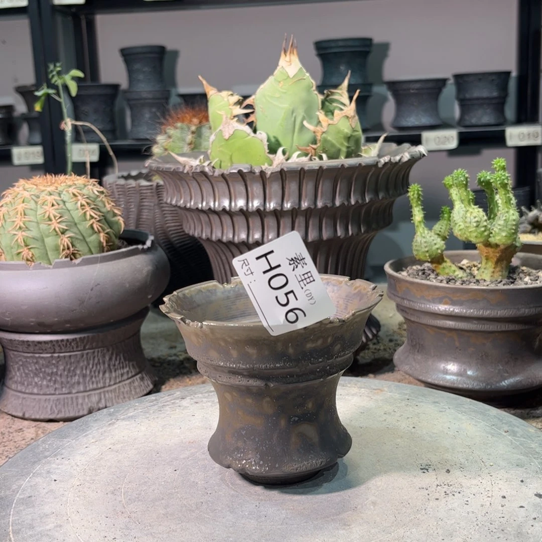 景德镇手工素里内口10高9