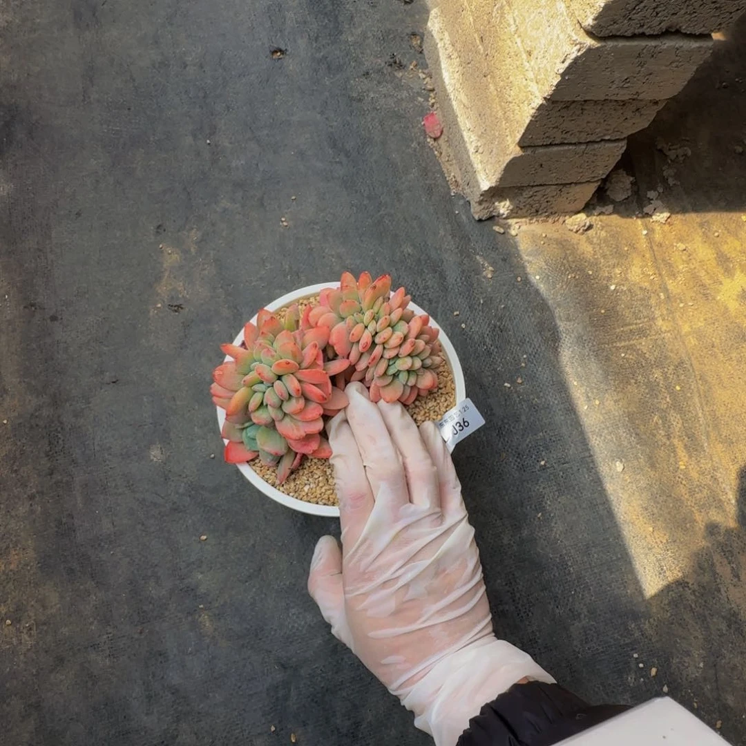 j j j j j j j j j j j 36