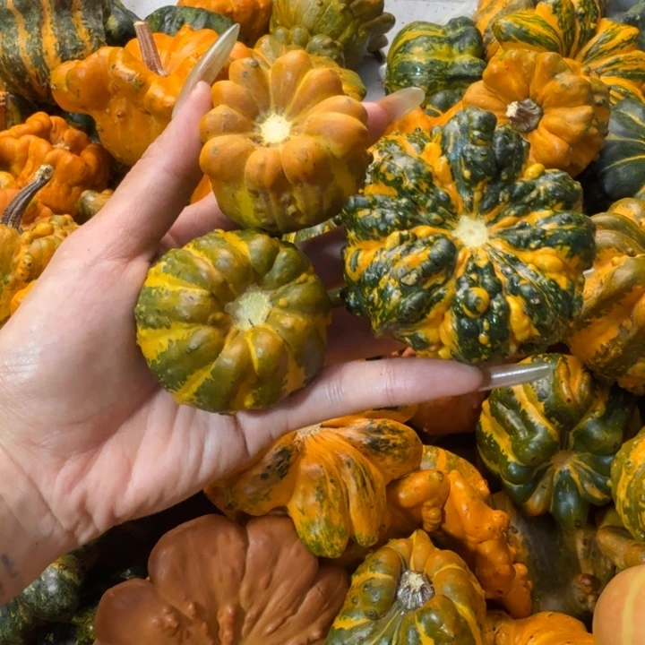 o***饿哦饿哦饿哦饿哦饿哦