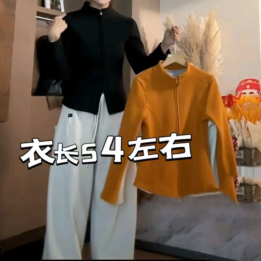 开衫款拉链常规款女立领通勤卫衣长袖修身型短款