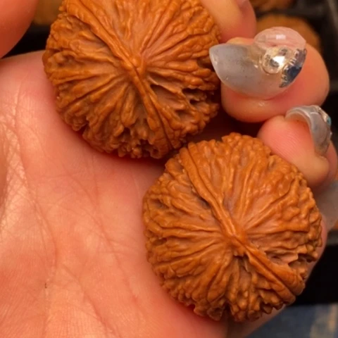 文玩核桃把件秦岭山脉核桃