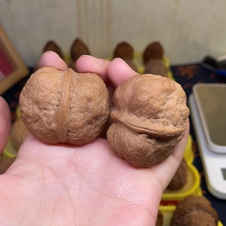 文玩核桃把件26、老树方尊44