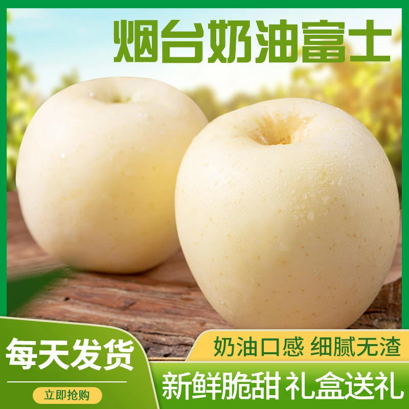 黄金奶油富士苹果新鲜水果栖霞黄色白色苹果包邮