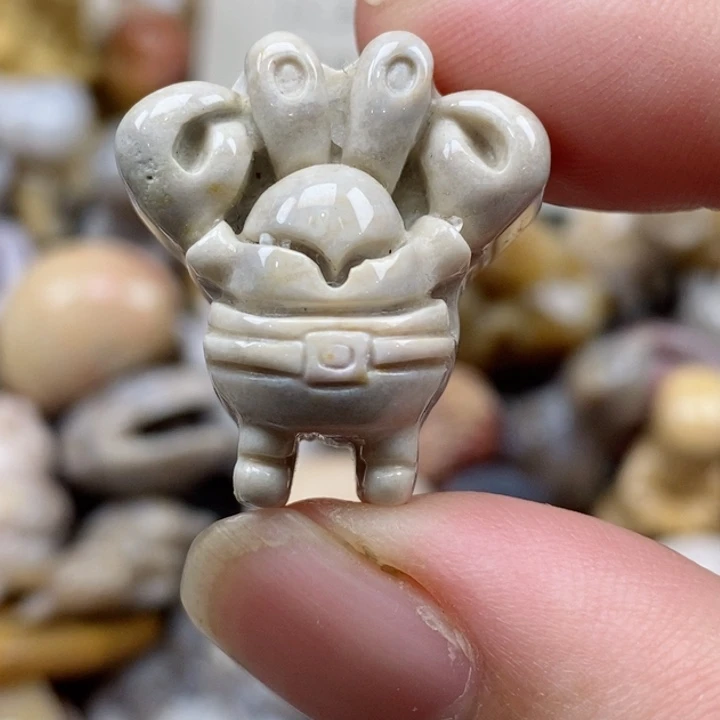 颈饰未镶嵌硅化珊瑚（珊瑚玉）有瑕 小