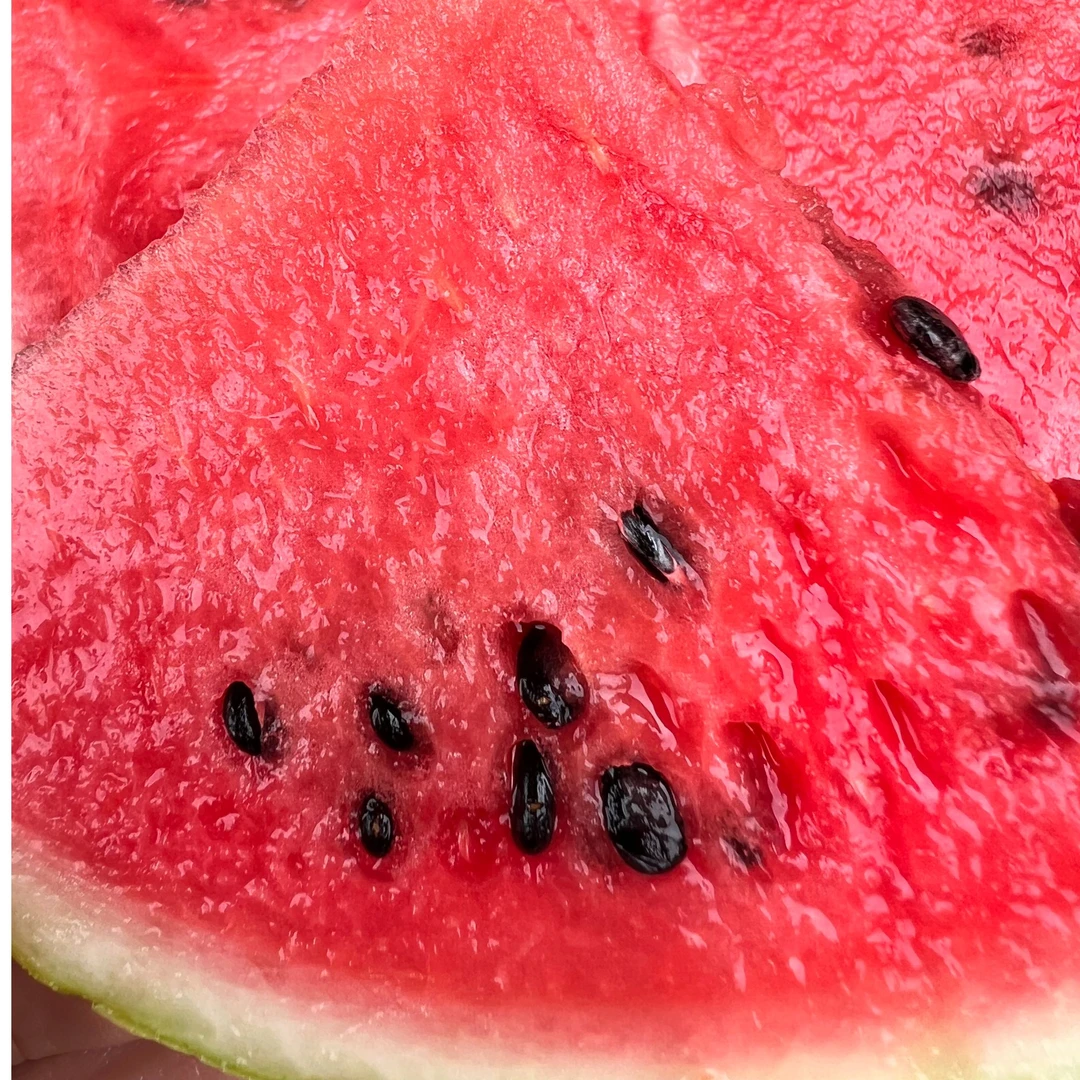 麒麟黒籽西瓜  有机肥种植 新鲜自然熟 现摘包邮 福利