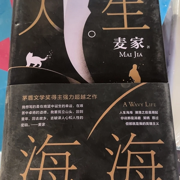 人生海海新书推荐