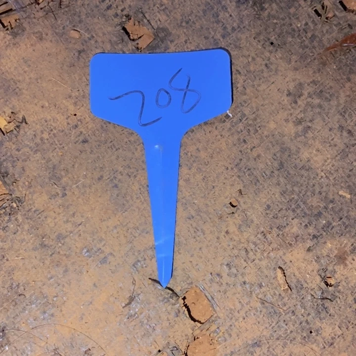 我都是要先到咯诶