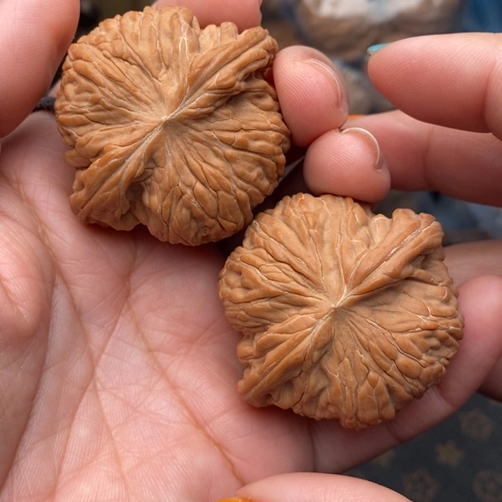 核桃蝴蝶磨盘45尺核桃