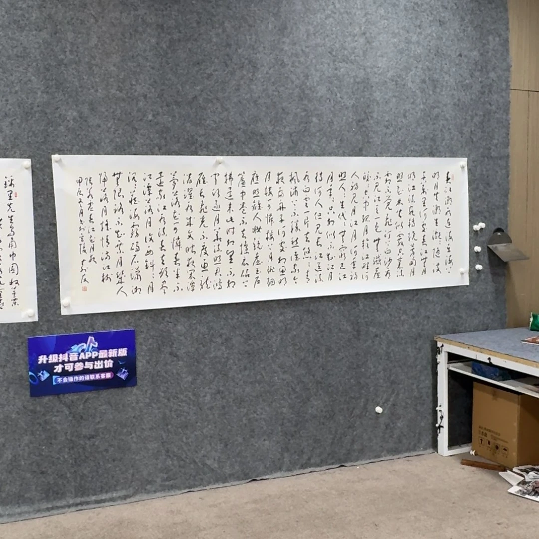 书法书法作品ZSY老师