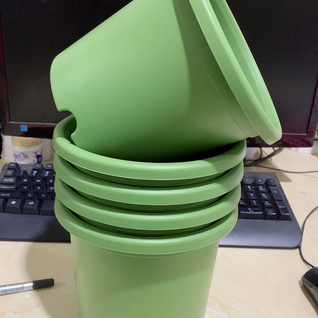 树脂四季口17果绿10个无托