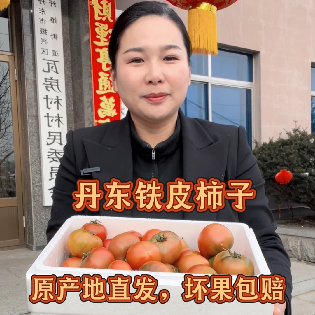 【顺丰】丹东瓦房村东北特产铁皮柿子西红柿草莓柿子（中小果）